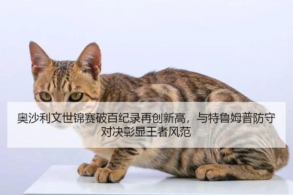 奥沙利文世锦赛破百纪录再创新高，与特鲁姆普防守对决彰显王者风范